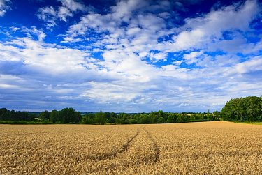 В регионах появятся новые механизмы регулирования сельхозземель